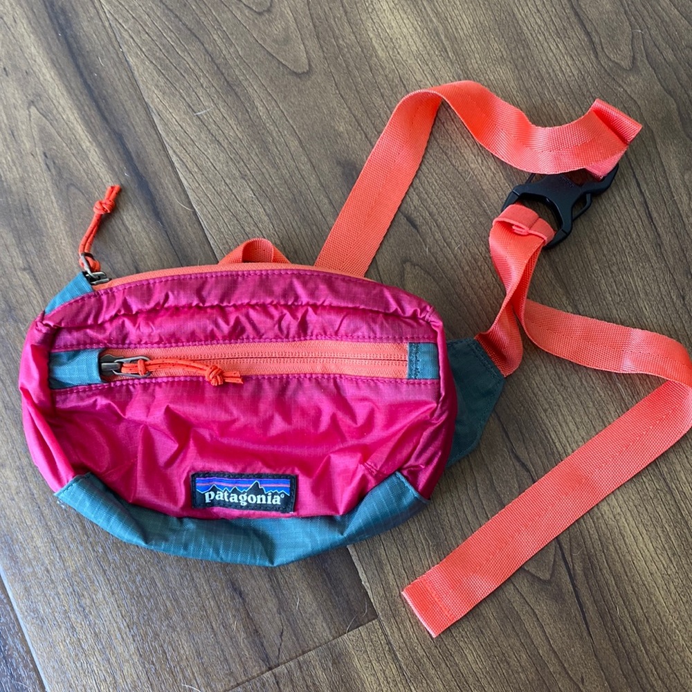 Patagonia Fanny-pack